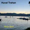 Huval Trahan - Nice Bird